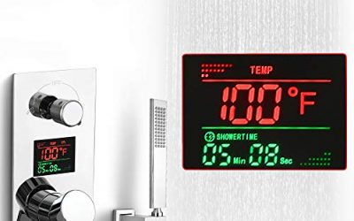 Best Smart Shower Heads – What, Why, and Which Ones To Buy