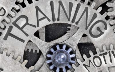 Barrierer som hindrer britiske håndverkere fra å følge videre opplæring |  JernvarehandelDirect