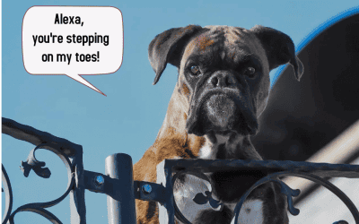 Hva er det og hvordan fungerer det?