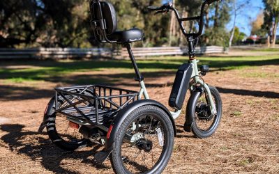 CleanTechnica testet: Rad Power Bikes RadTrike